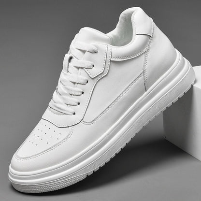 Aurea White | +6cm +8cm +10cm